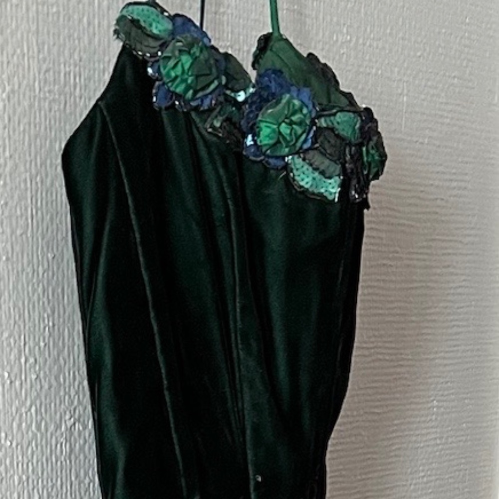 Roberta Velvet Taffeta Sequin Long Dress